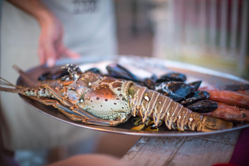 The Journey of Fresh Seafood — From Ocean to Your Table